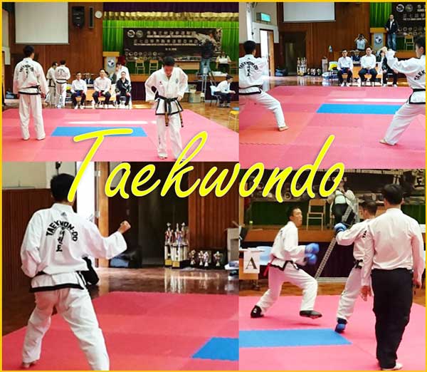 hktaekwondoshiai